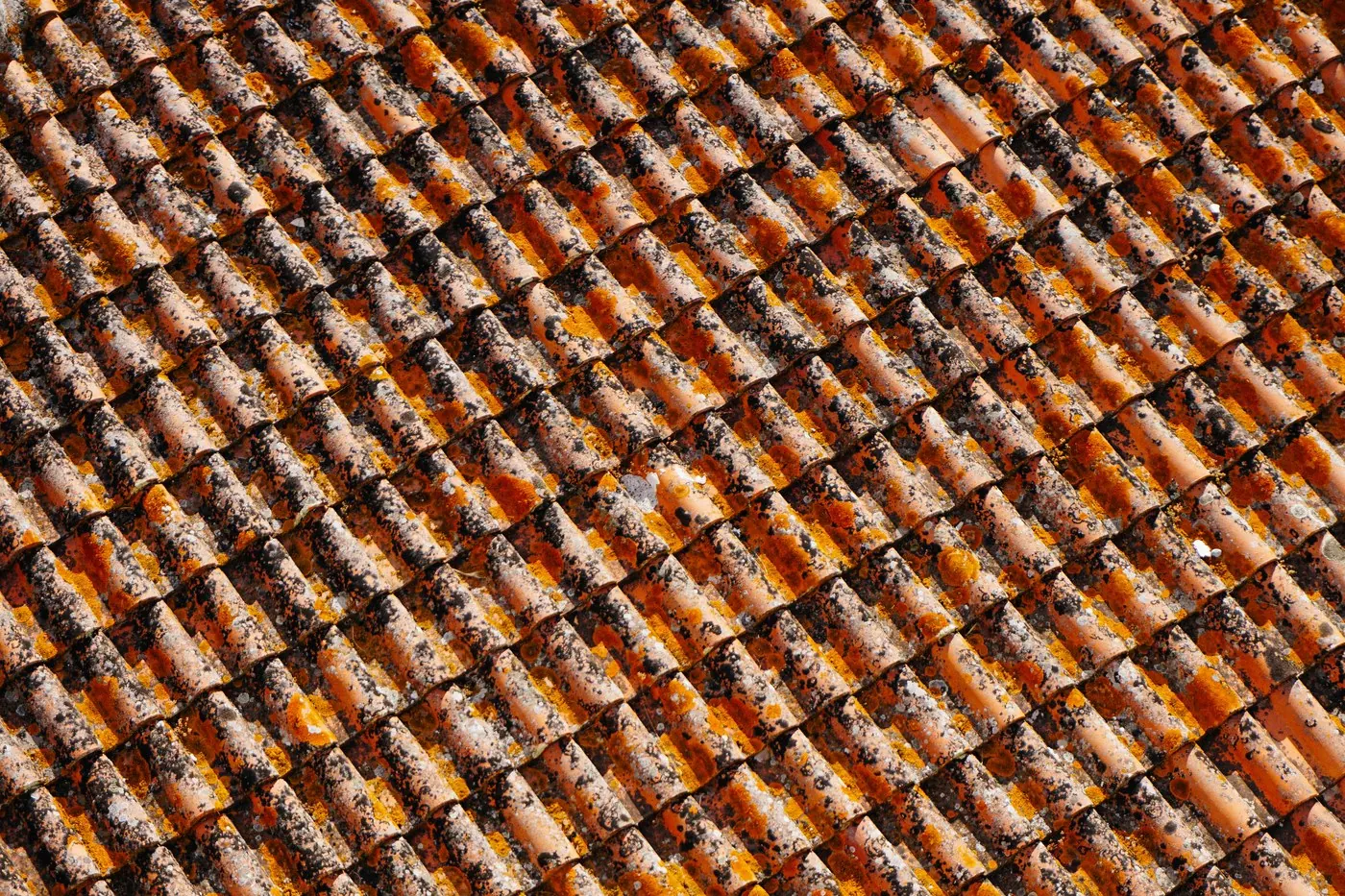 Weathered terracotta tiles in a stock roof photograph
